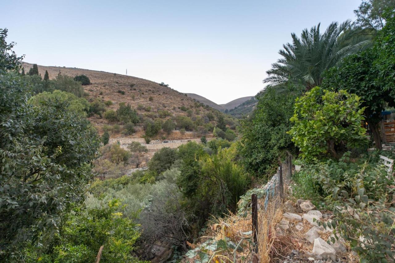 הפינה שלה -Hapina Shella ראש פינה העתיקהヴィラ エクステリア 写真