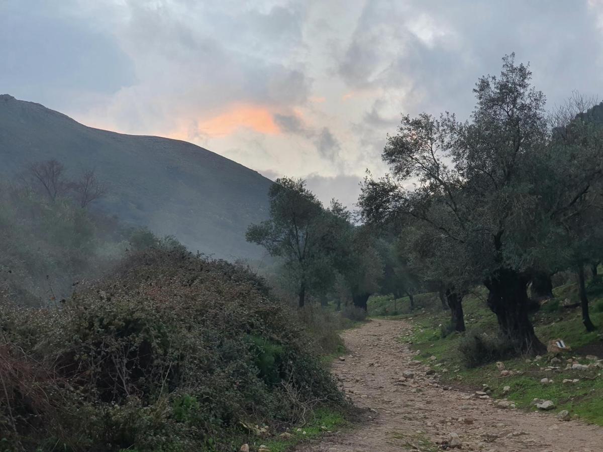 הפינה שלה -Hapina Shella ראש פינה העתיקהヴィラ エクステリア 写真